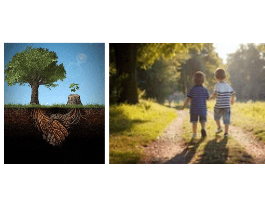 2 young children holding hands walking through the woods next a bi tree sharing roots with a sapling.