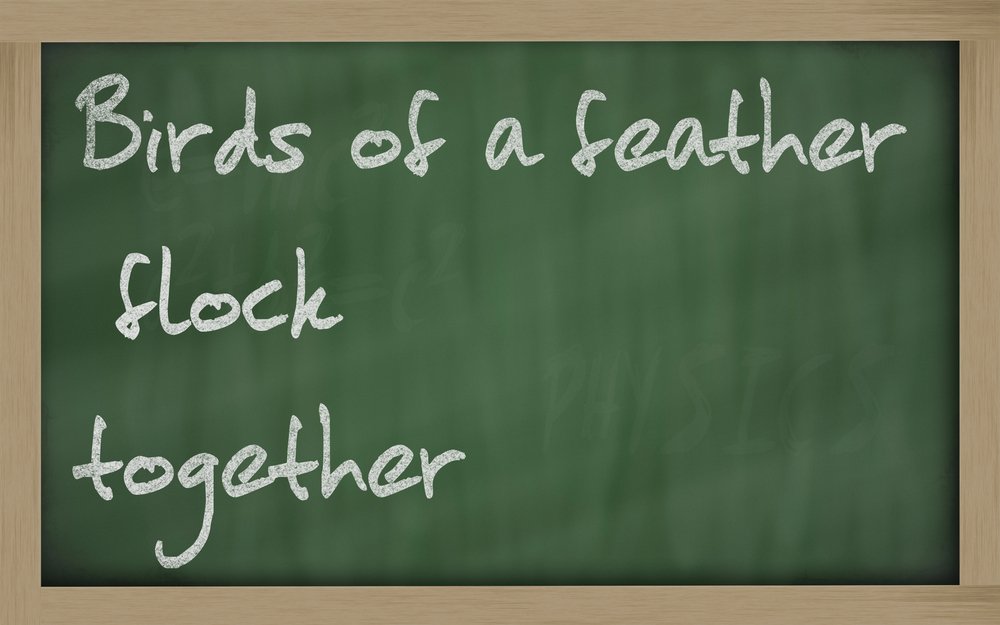 Birds-of-a-feather-flock-together-written-on-a-blackboard.jpg