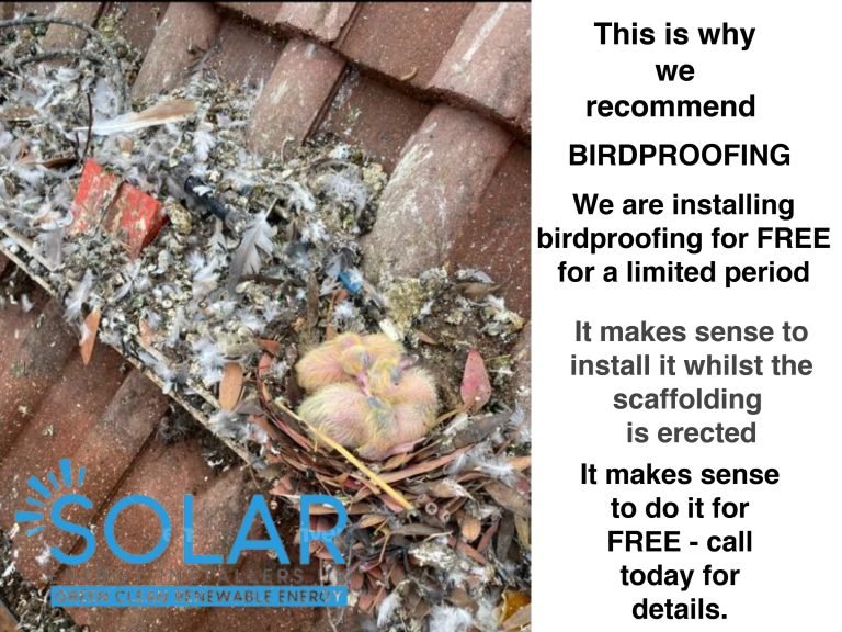 Bird Mess Underneath A Removed Solar Panel