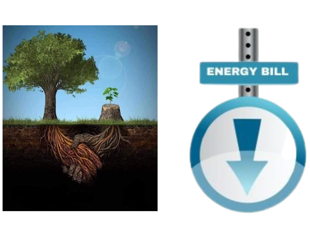 Energy Bill Text On Pole With Arrow Pointing Down Next A Bi Tree Sharing Roots With A Sapling.